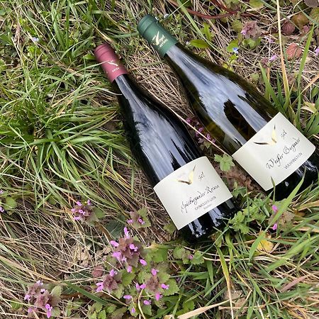 Apartamento Weingut & Strausswirtschaft Vogel Vogtsburg Exterior foto