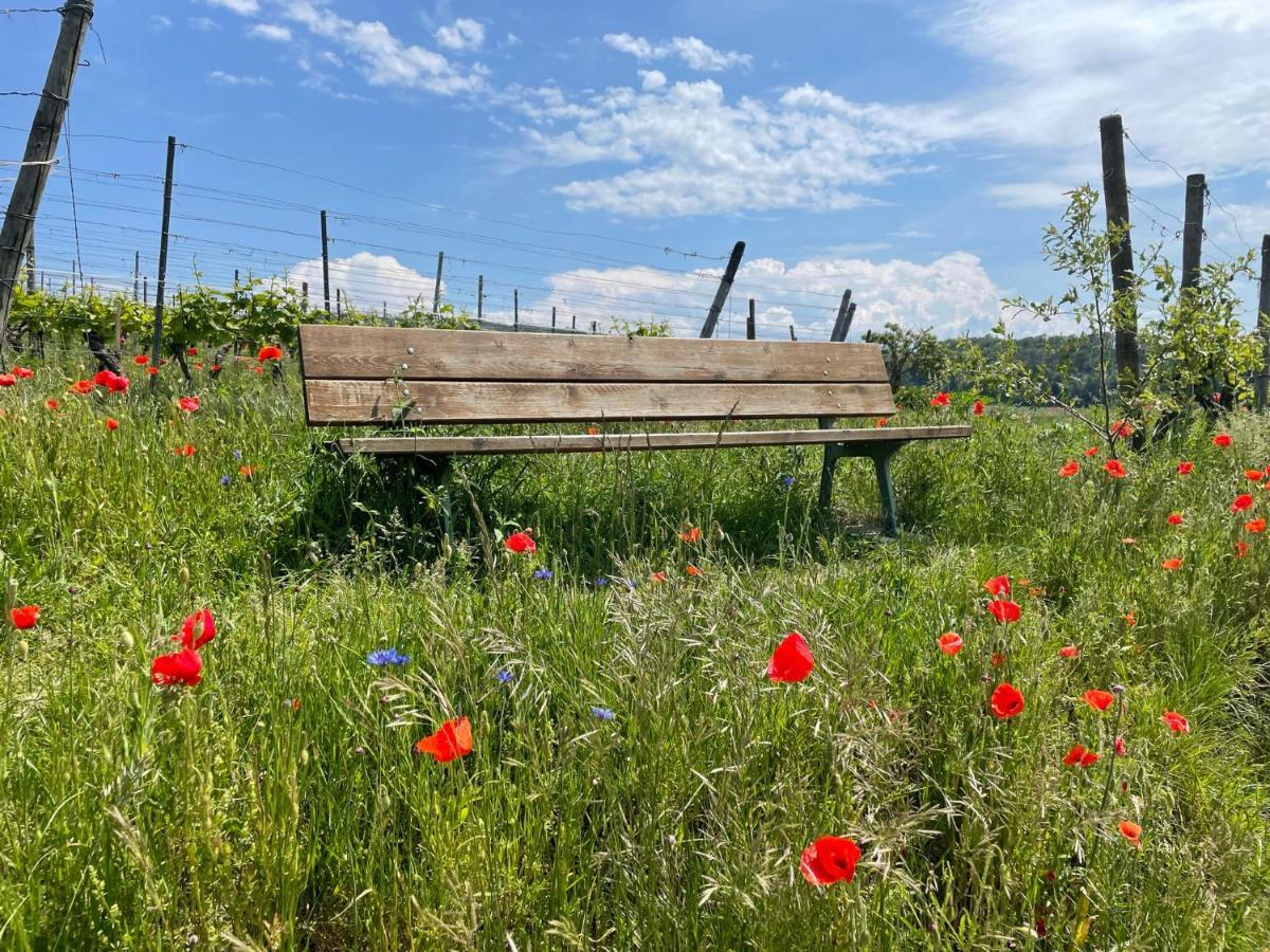 Apartamento Weingut & Strausswirtschaft Vogel Vogtsburg Exterior foto