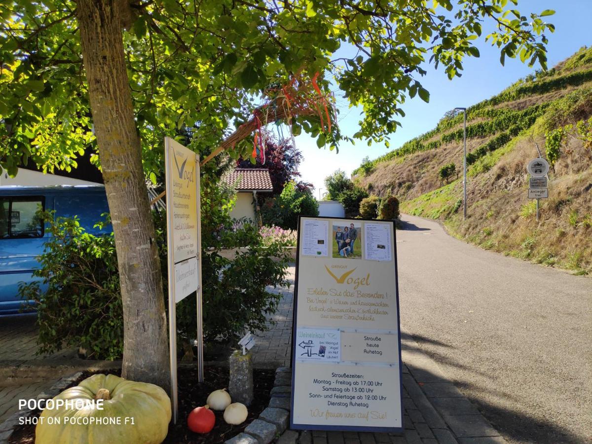 Apartamento Weingut & Strausswirtschaft Vogel Vogtsburg Exterior foto