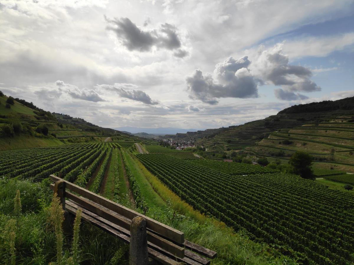 Apartamento Weingut & Strausswirtschaft Vogel Vogtsburg Exterior foto